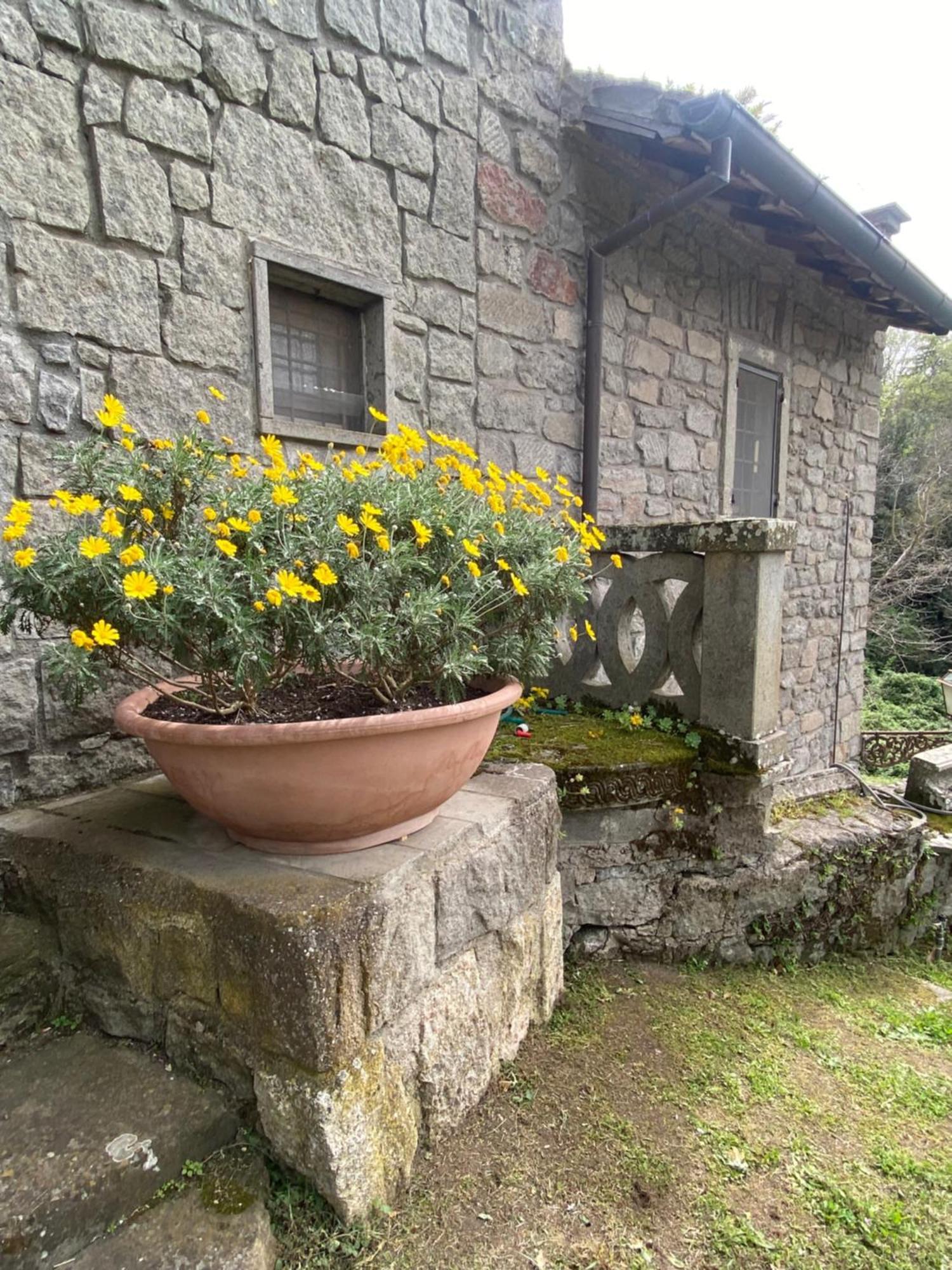维泰博Il Castelletto Della Palanzana别墅 外观 照片